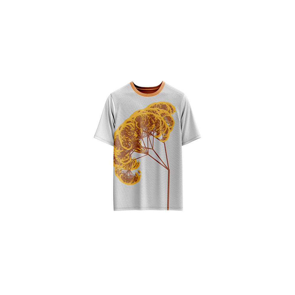 Pappus on T-Shirt