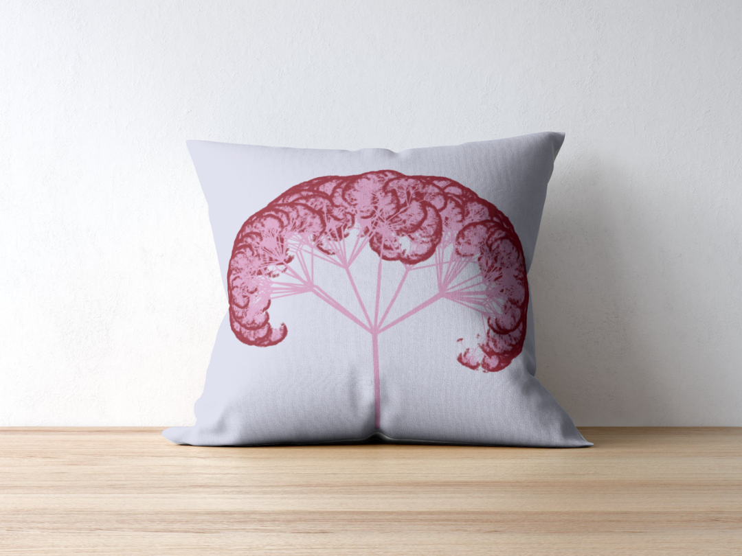 Pappus cushion — applied composition